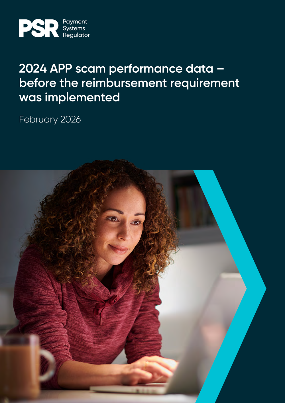 APP Fraud Performance Report Covering 2024